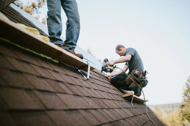 Quick and Trustworthy Emergency Roof Repair Services in Bridgetown, MS